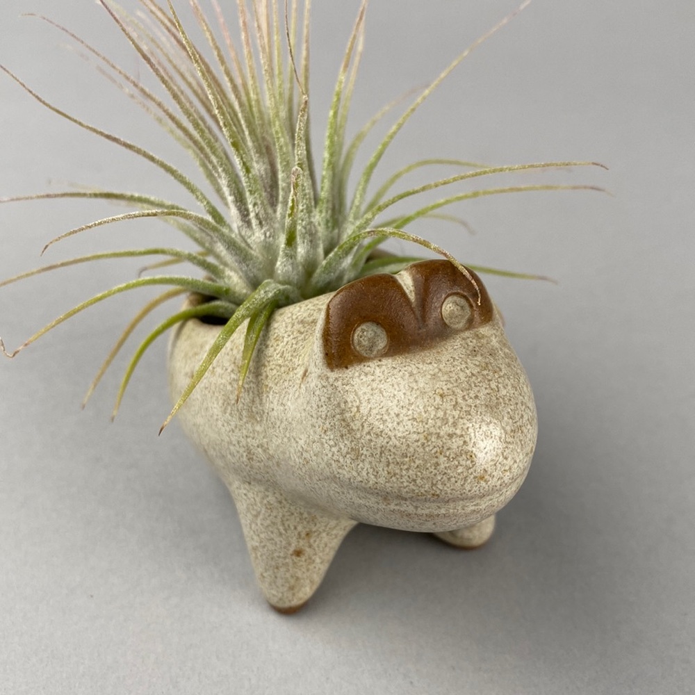 Vintage David Stewart Mid-Century Ceramic Frog Planter Lions Valley Stoneware